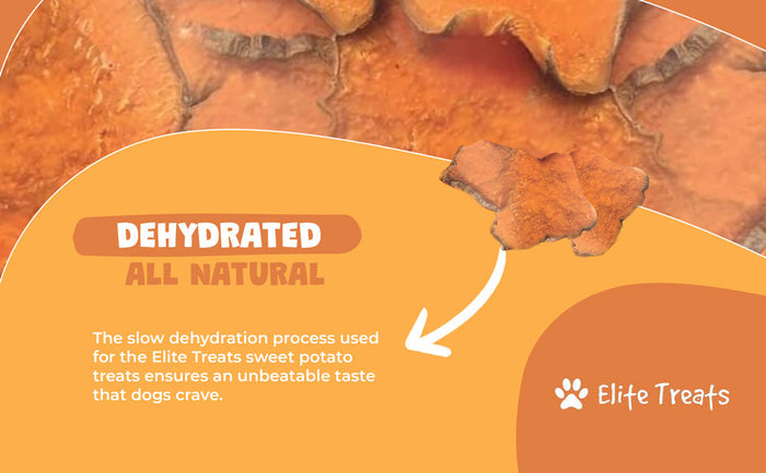 Elite Treats Sweet Potato Grain-Free Dog Treats 6 oz. 2-Pack