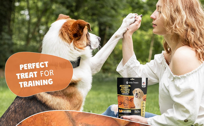 Elite Treats Sweet Potato Grain-Free Dog Treats 6 oz. 2-Pack