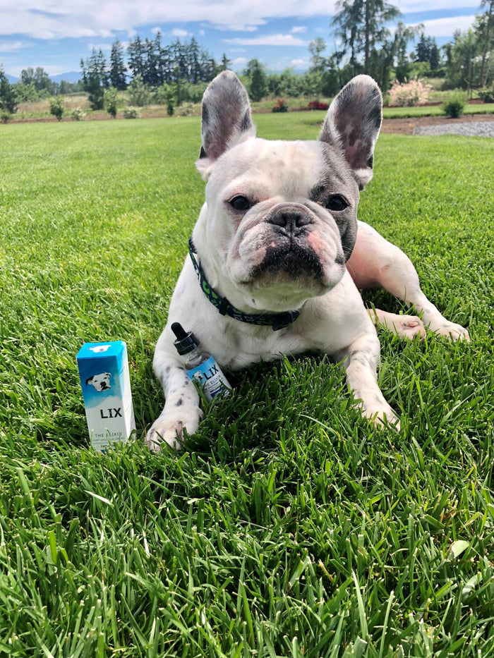 THE ELIXIR - 500mg - LIX Pet Wellness