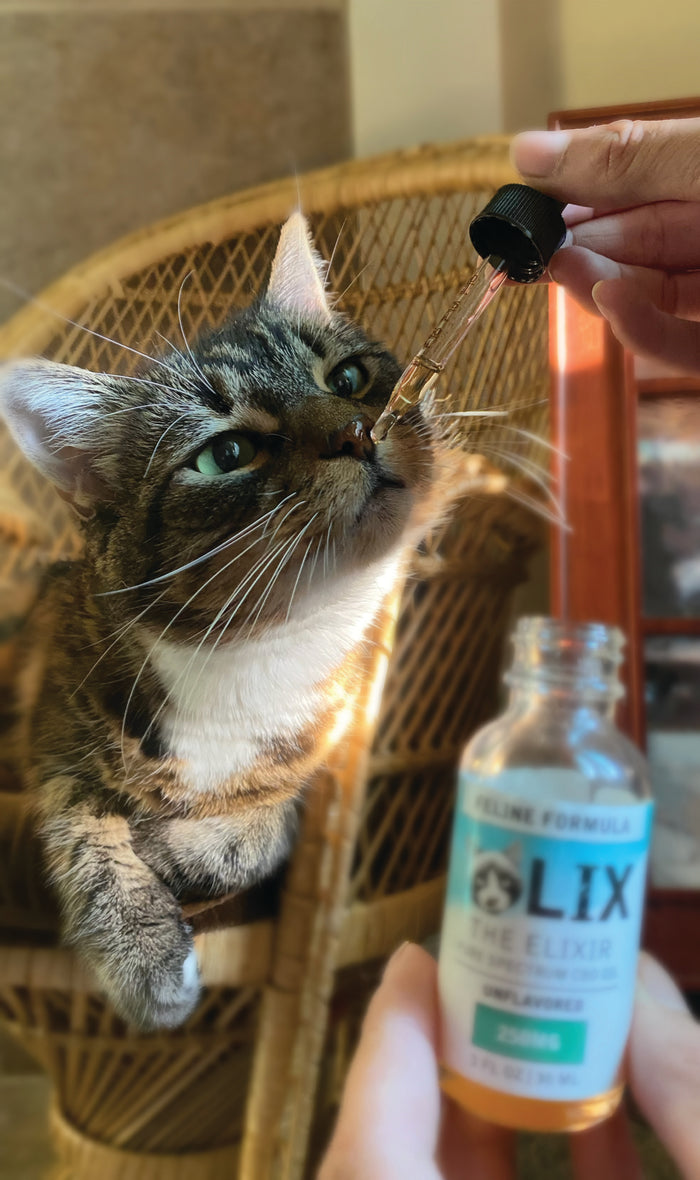 ELIXIR - FELINE FORMULA - 250mg Tincture for Cats - LIX
