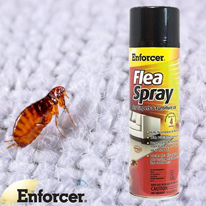Enforcer Flea Spray for Carpets and Furniture Indoor Flea Control Spray 14 oz. 2-Pack