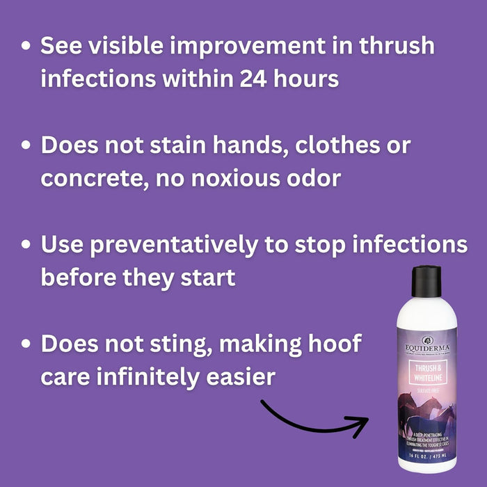 Equiderma Thrush & White Line Treatment for Horses 16 oz.