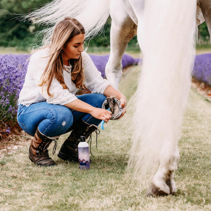 Equiderma Thrush & White Line Treatment for Horses 16 oz.