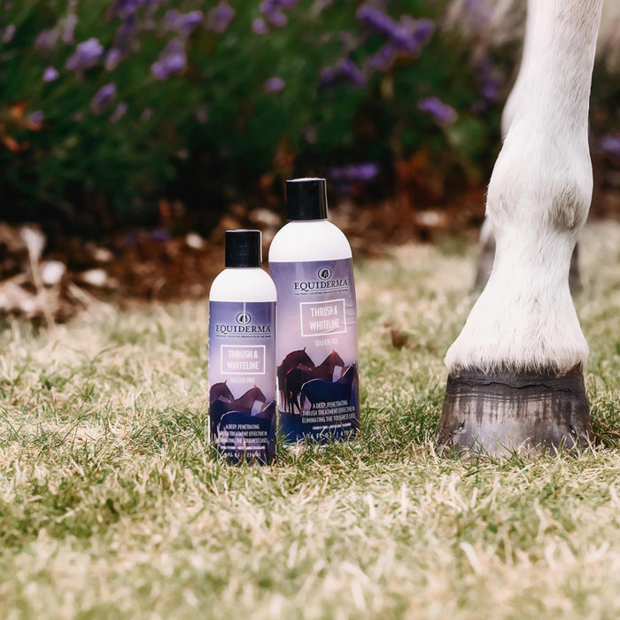 Equiderma Thrush & White Line Treatment for Horses 16 oz.