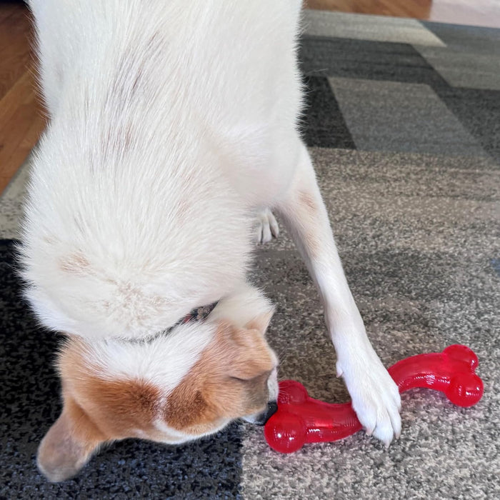 Ethical Play Strong "S" Bone Dog For Aggressive Chewers Toys 12"