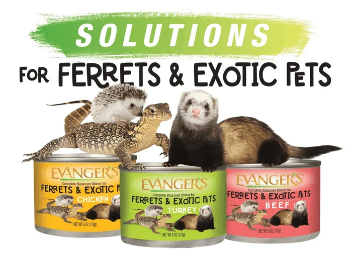 Evanger's Beef Dinner for Ferrets & Exotic Pets Grain Free 6 oz. Can 12-Pack