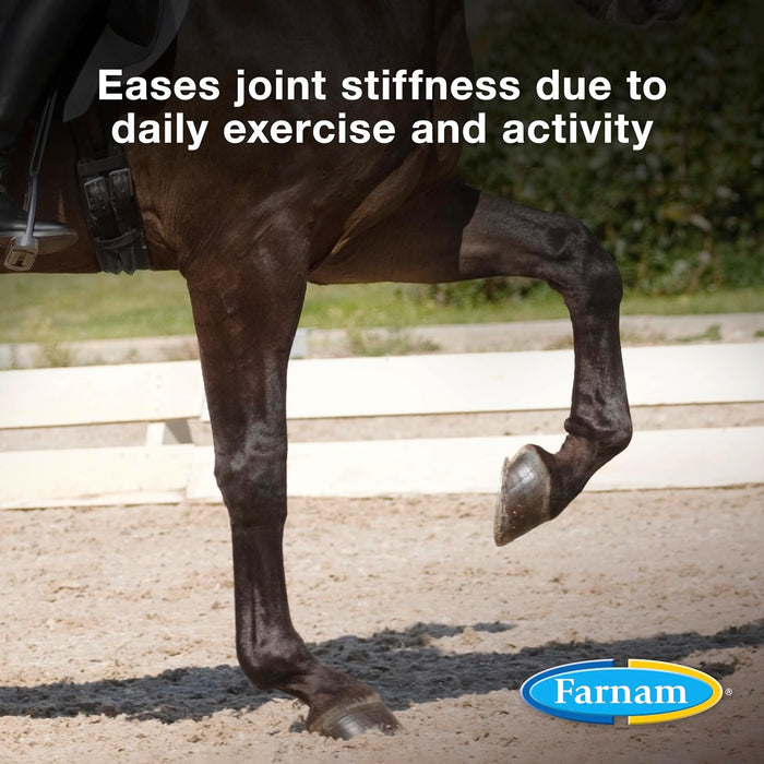 Farnam Next Level Joint Fluid Supplement for Horses & Dogs 128 oz.