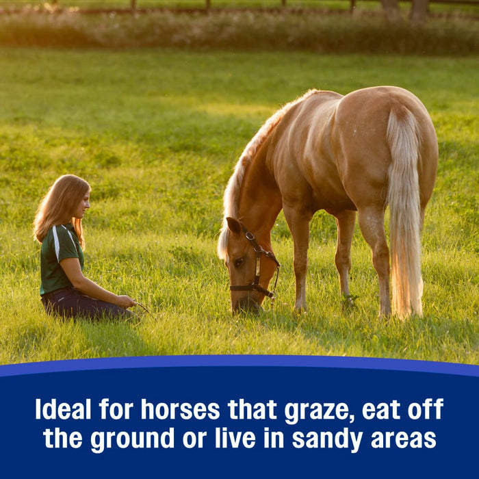 Farnam SandClear Psyllium Crumbles for Horses Digestive Support Sand Colic Risk 3lbs.