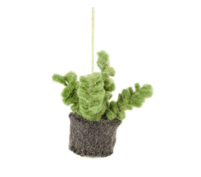 Felt Biodegradable Hanging Mini Plant : Bubble Succulent (Charcoal base with small, bubbled leaves)
