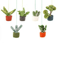 Felt Biodegradable Hanging Mini Plants BACK IN STOCK.