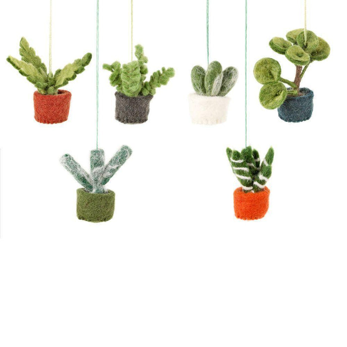 Felt Biodegradable Hanging Mini Plants BACK IN STOCK.