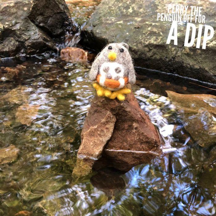 Felt Perry The Penguin Beach Collection.