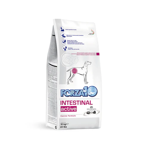 Forza10 Active Intestinal Anchovy Adult Dog Food