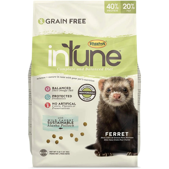 Fresh Ferret Complete Care Bundle – Shampoo, Higgins Food, Marshall Lounge & Evanger’s Beef Dinner