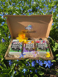 Giant Bubble Mix Summer Scents Trio.