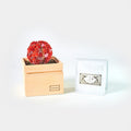 [GIFT SET] CHAWAKA MARI AND SENCHA SET RED PLUM | UJI TEA AND FLORAL DESIGN| CHAWAKA KYOTO UJI