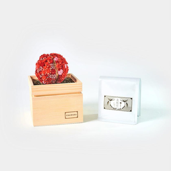 [GIFT SET] CHAWAKA MARI AND SENCHA SET RED PLUM | UJI TEA AND FLORAL DESIGN| CHAWAKA KYOTO UJI
