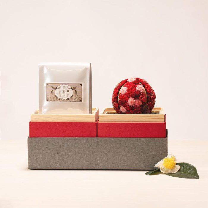 [GIFT SET] CHAWAKA MARI AND SENCHA SET RED PLUM | UJI TEA AND FLORAL DESIGN| CHAWAKA KYOTO UJI