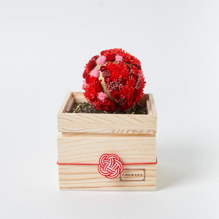 [GIFT SET] CHAWAKA MARI AND SENCHA SET RED PLUM | UJI TEA AND FLORAL DESIGN| CHAWAKA KYOTO UJI