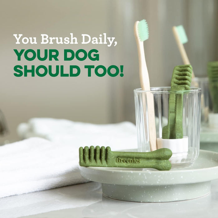 Greenies Original Large Dental Dog Treats