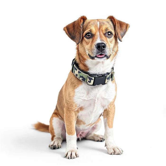 Guardian Gear Camo Dog Collar Neck Durable Nylon Quick Buckle Green 14-20"