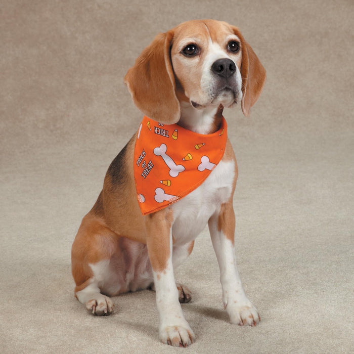 Halloween Aria Trick Treat Dog Bandana Bones Candy Fun Accessory 4-Pack