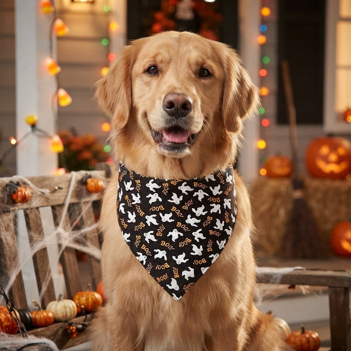 Halloween Dog Bandana Variety Pumpkin Bat BOO Trick or Treat Pet Accessories 4-Pack