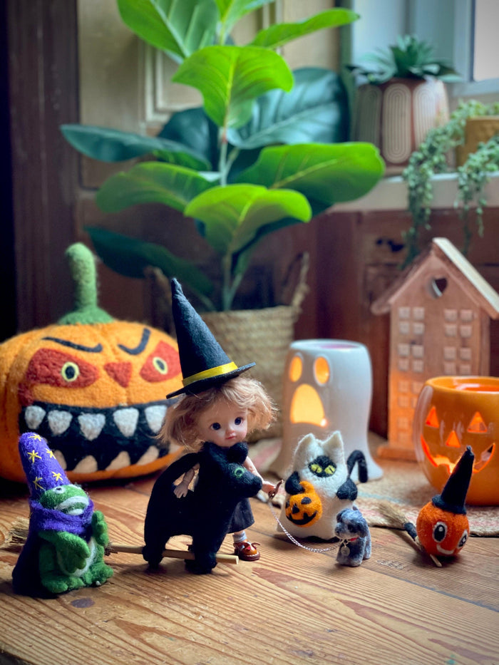 Handmade Frog Wizard Halloween