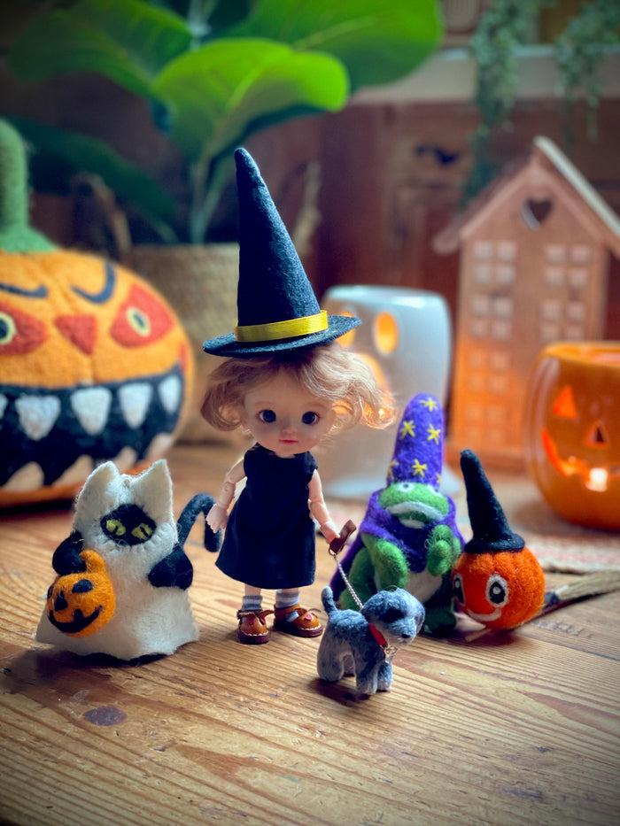 Handmade Frog Wizard Halloween
