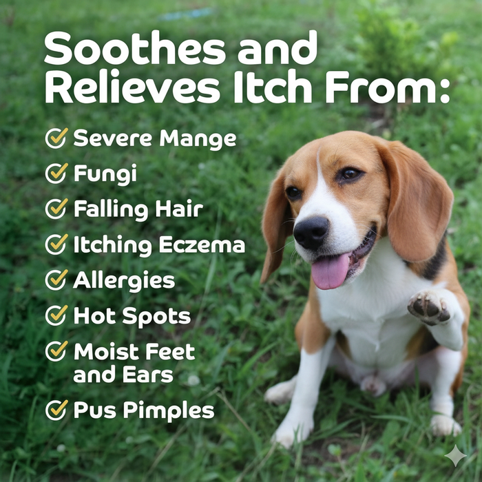 Happy Jack Sarcoptic Mange 16 oz Medicine Dogs Skin Relief Cure-All Treatment