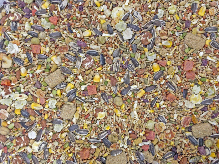 Higgins Rat & Mouse Natural Food Sunburst Gourmet Blend 2.5 lbs.