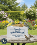 Higgins Spray Millet Bird Treats Non-GMO Natural Foraging All Birds 5lbs.
