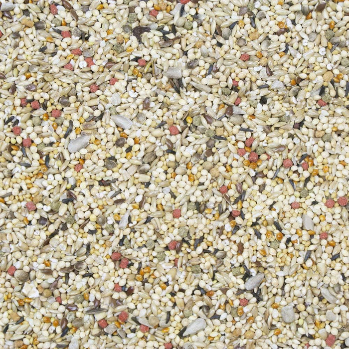 Higgins Vita Seed Finch Food 2 lbs. Premium Natural Seeds Vitamins & Minerals