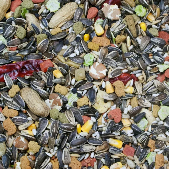 Higgins Vita Seed Parrot Food 3 lbs. Premium Seed Blend w/ Probiotics & DHA Omega-3