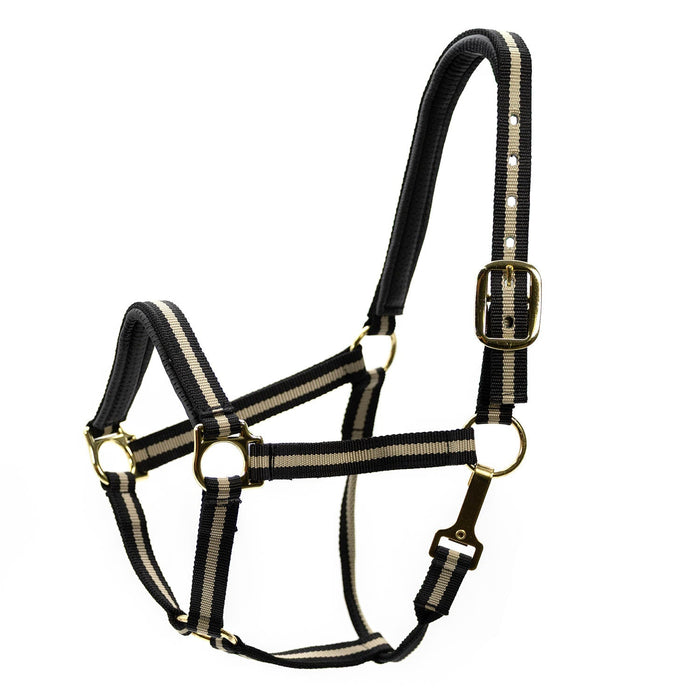 Black/Tan / Horse
