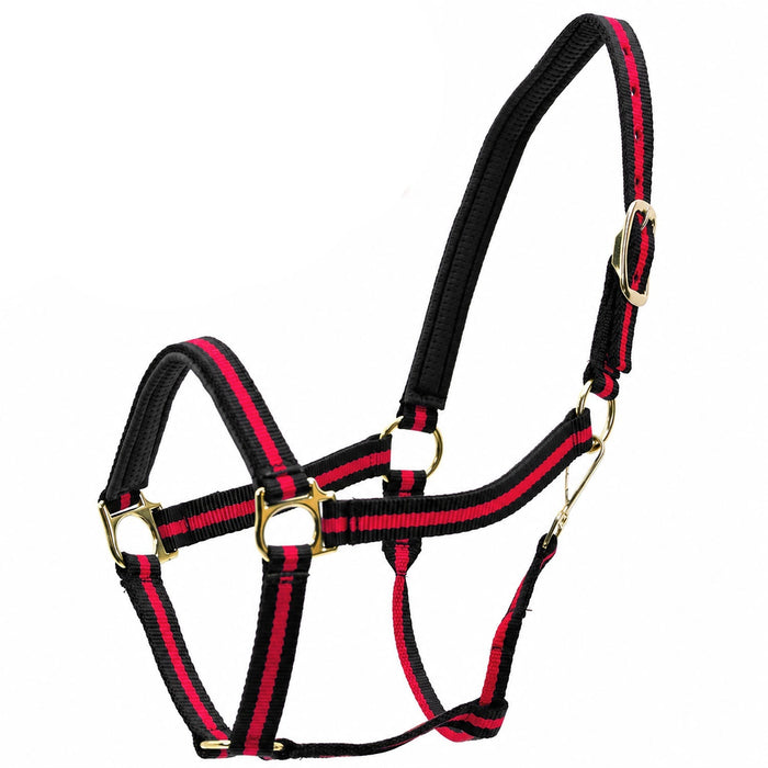Black/Red / Horse