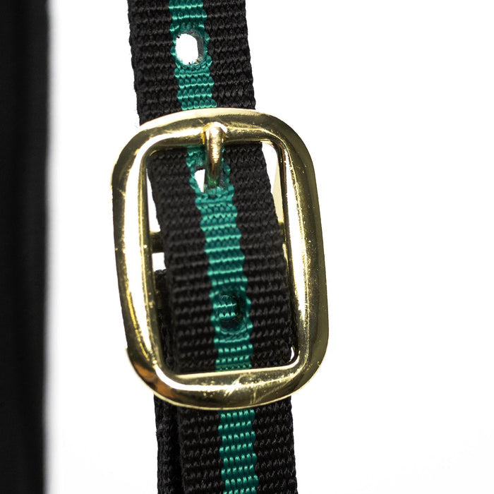 Horse Jeffers Padded Nylon Horse Halter Throat Snap
