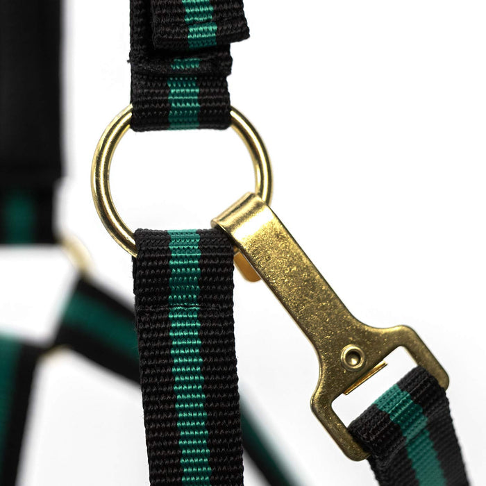 Horse Jeffers Padded Nylon Horse Halter Throat Snap