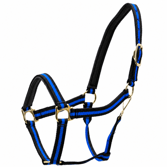 Horse Jeffers Padded Nylon Horse Halter Throat Snap