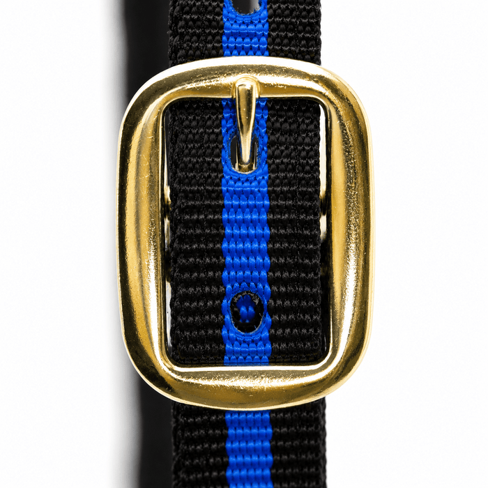 Horse Jeffers Padded Nylon Horse Halter Throat Snap