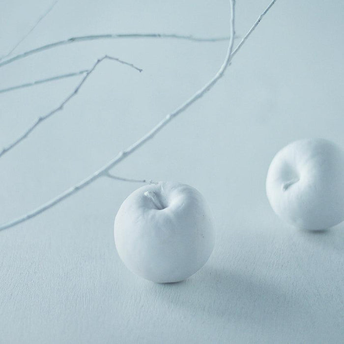 [INCENSE] AROMA STONE SET APPLE | HASAMI WARES| SAIKAI TOKI