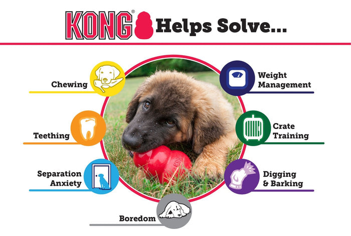 Instinct Dog Kong Classic Toy