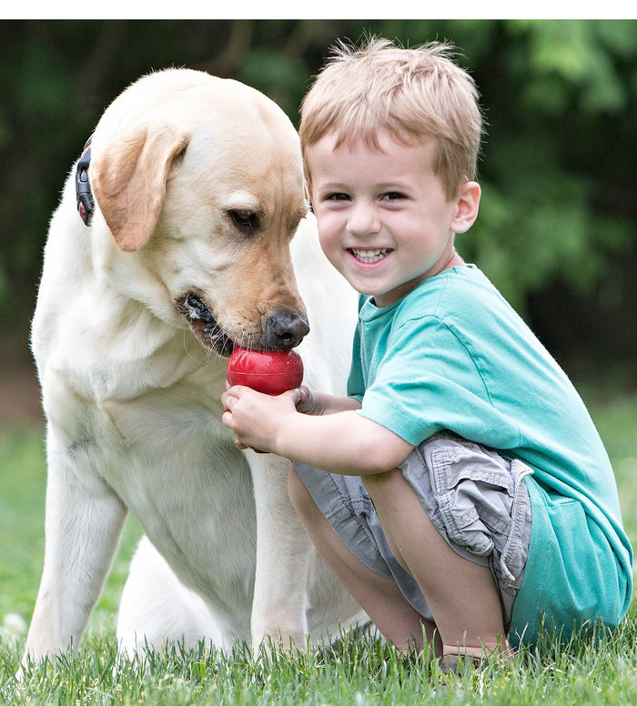Instinct Dog Kong Classic Toy