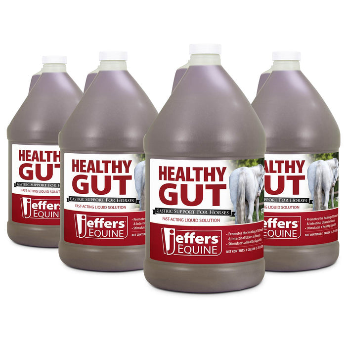 1 gallon (128 Day Supply) / 4