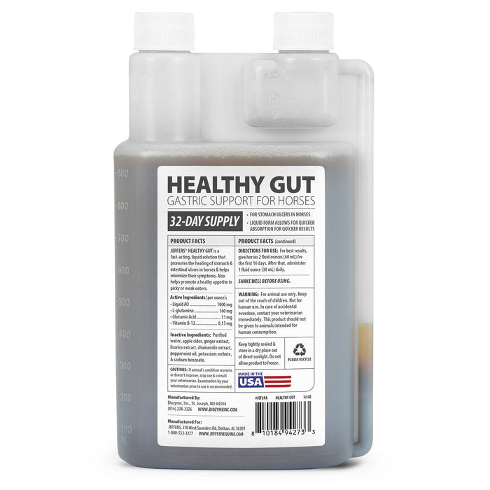 Jeffers Healthy Gut Gastric Support Liquid Supplement for Horses