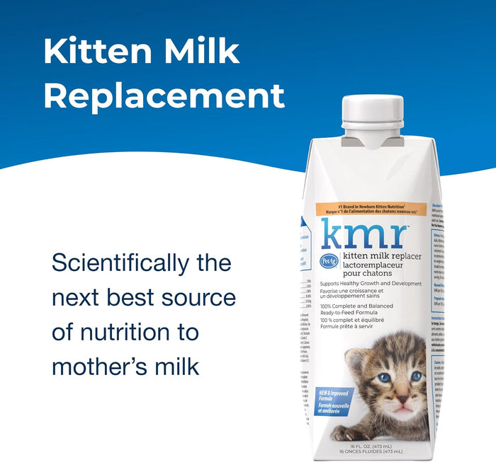 Kitten Feeding Essentials Kit KMR Liquid Milk Replacer & Nursing Bottle Bundle