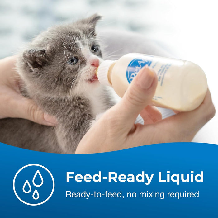 Kitten Feeding Essentials Kit KMR Liquid Milk Replacer & Nursing Bottle Bundle