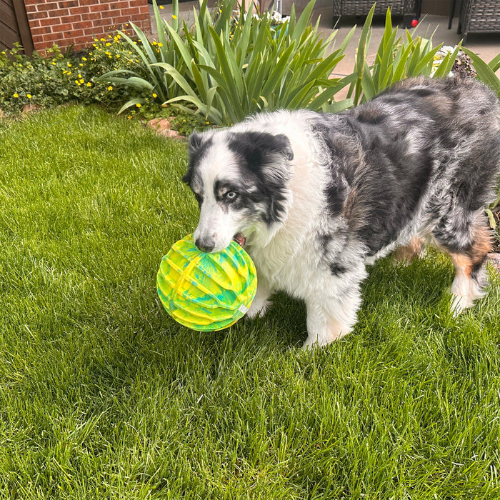 KONG FlexBall Sport Ball XL Dog Toy