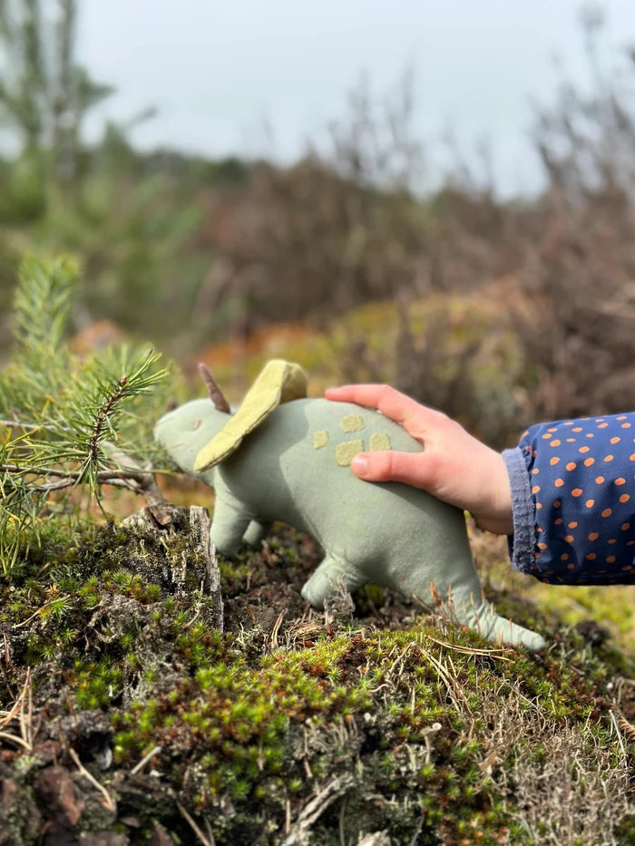 Linen Dinosaur Trike Triceratops NEW ARRIVAL - Ruby & Grace