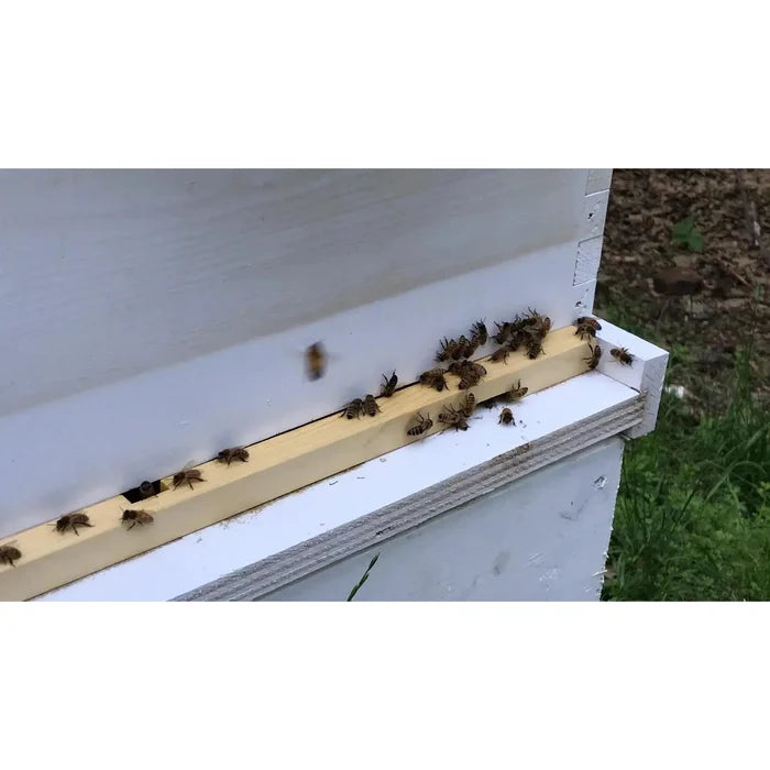 Little Giant Beehive Entrance Reducer Little Giant